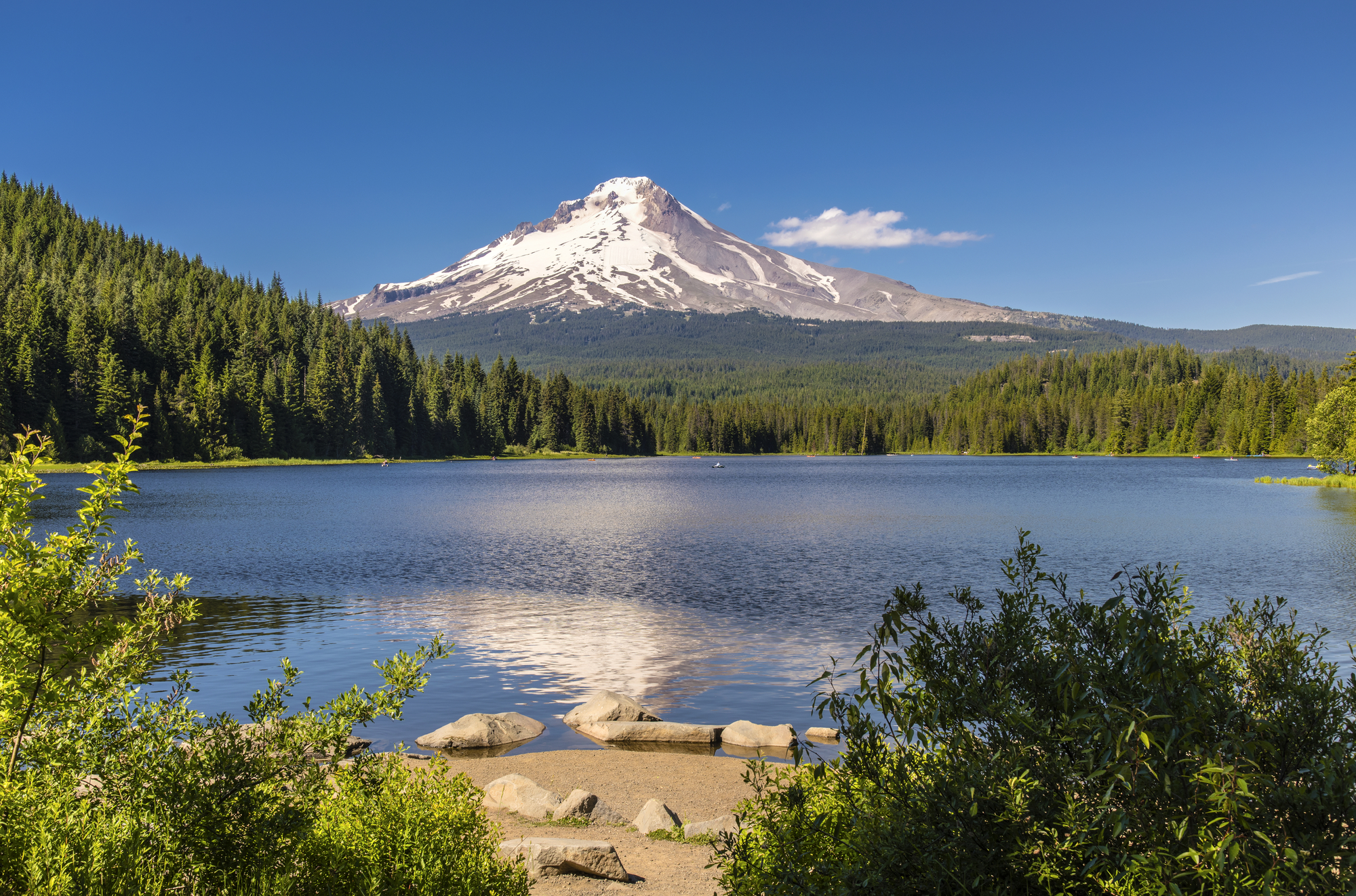 Oregon State Park Map