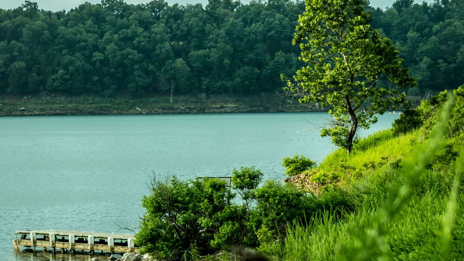 Arkansas Lakes and Rivers Map: Geographical Twists and Turns 17 Arkansas Bull Shoals Lake