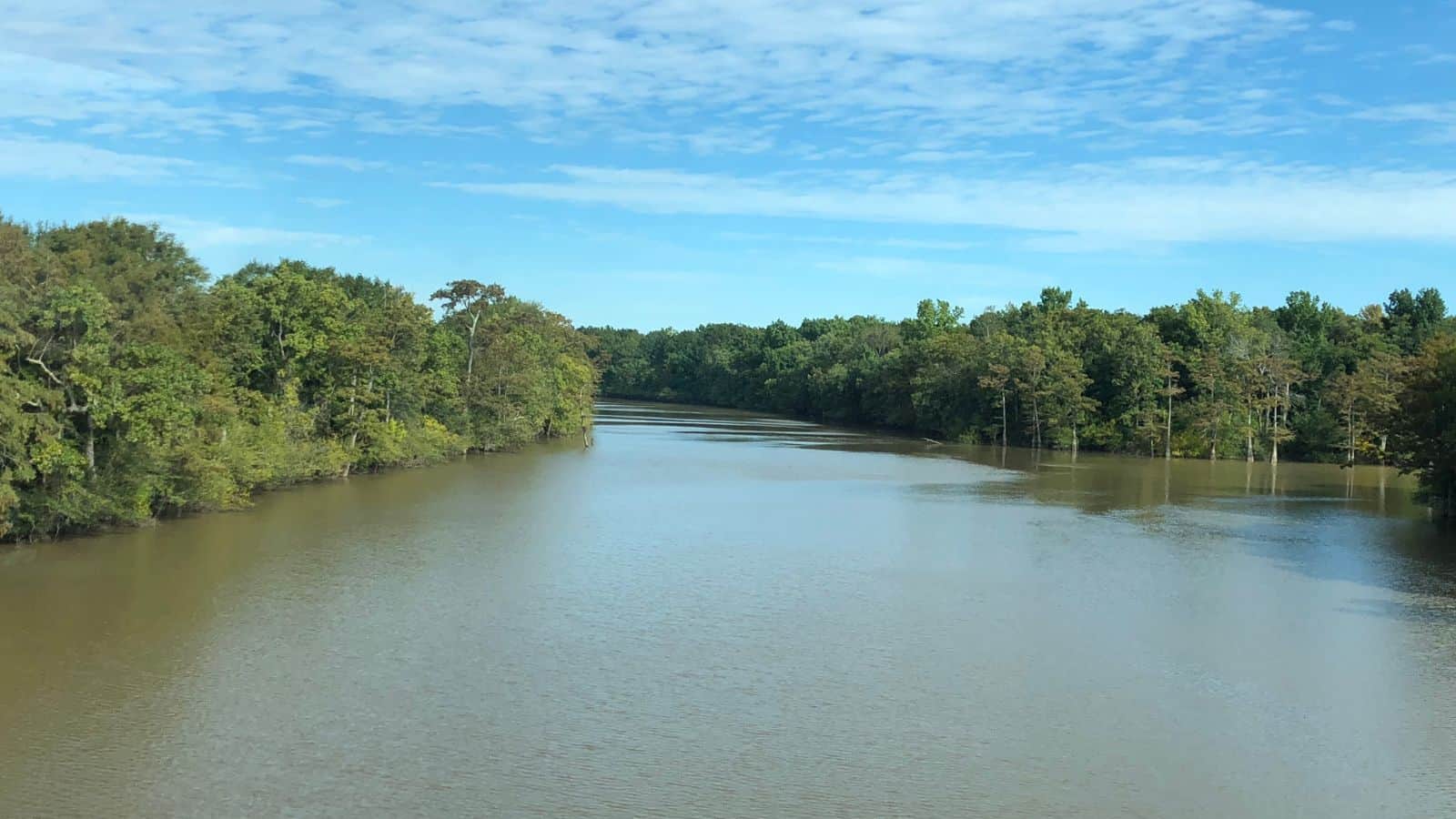 Arkansas Lakes and Rivers Map: Geographical Twists and Turns 5 Arkansas Cache River