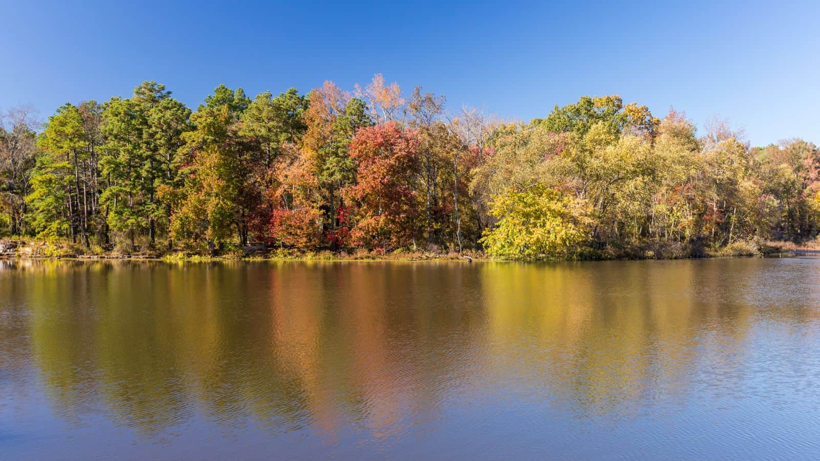 Arkansas Lakes and Rivers Map: Geographical Twists and Turns 10 Arkansas Petit Jean River