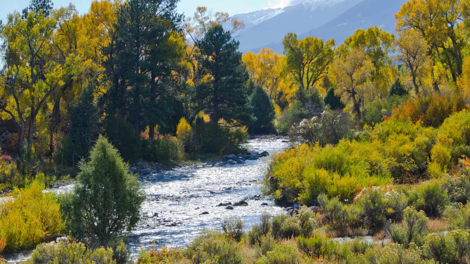 Arkansas Lakes and Rivers Map: Geographical Twists and Turns 2 Arkansas River