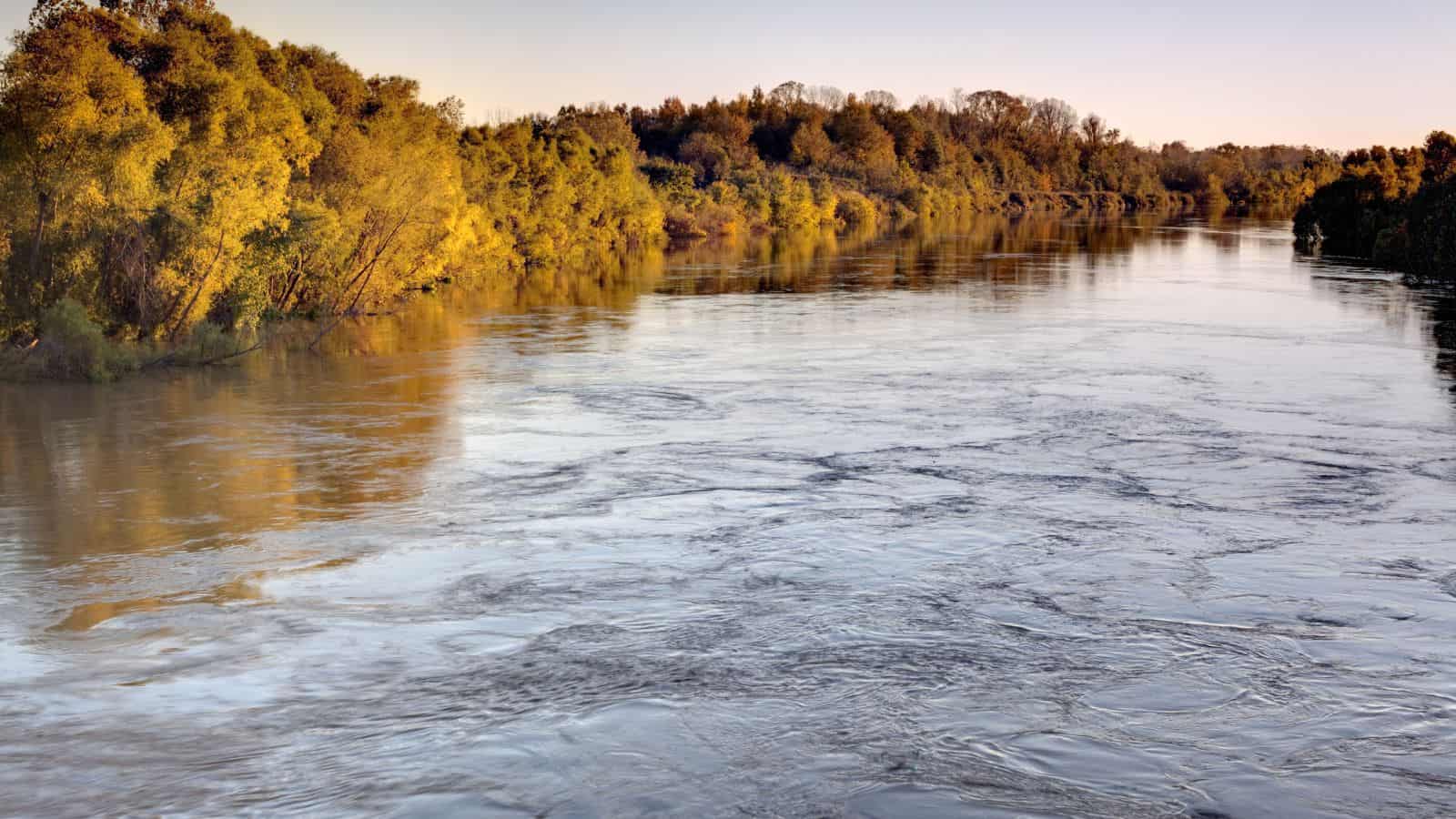 Arkansas Lakes and Rivers Map: Geographical Twists and Turns 6 Arkansas St. Francis River