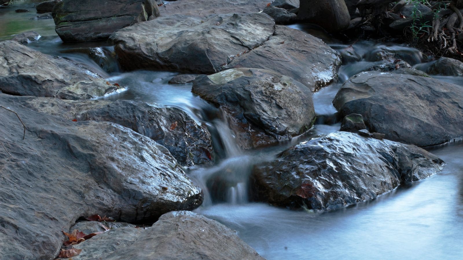 Cahaba River