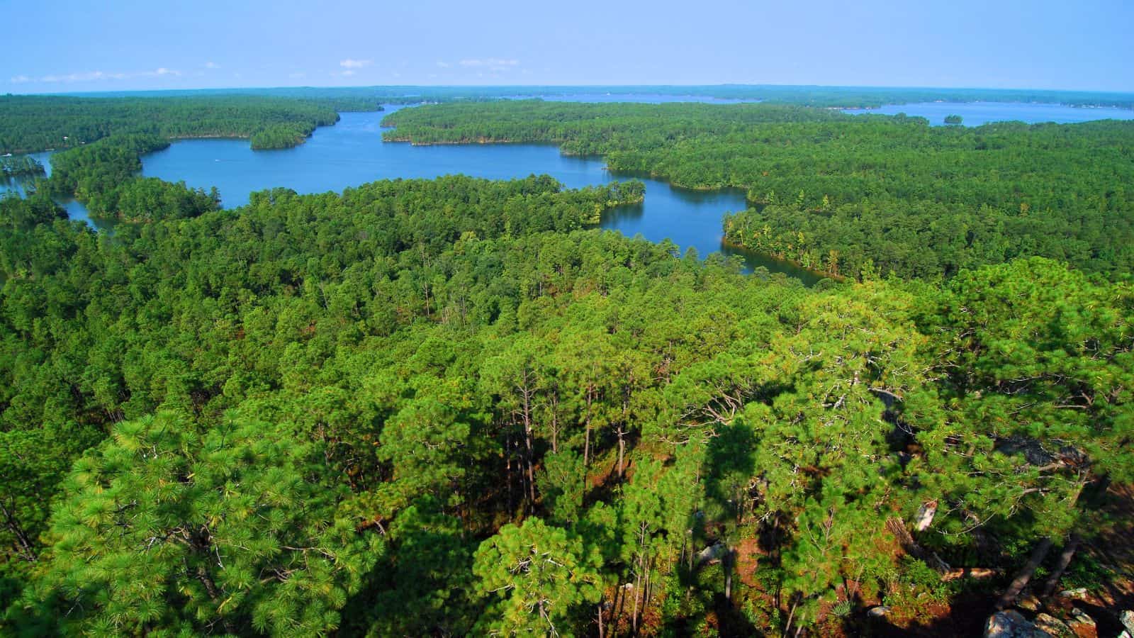 Lake Martin