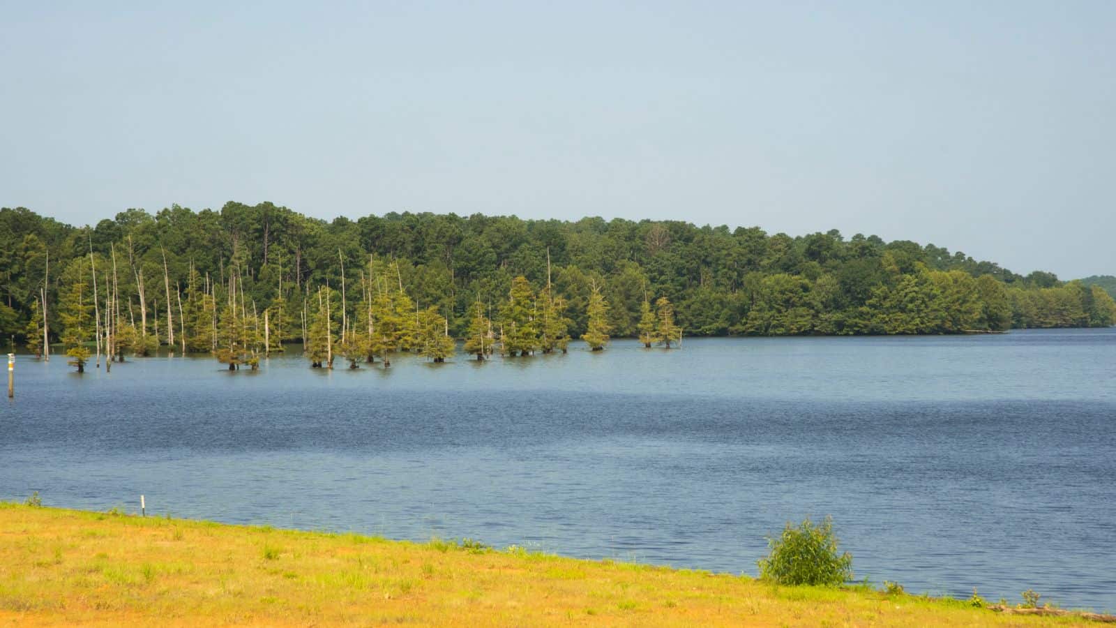 The Louisiana Lakes and Rivers Map: A Bayou Voyage 12 Louisiana Lake D’Arbonne