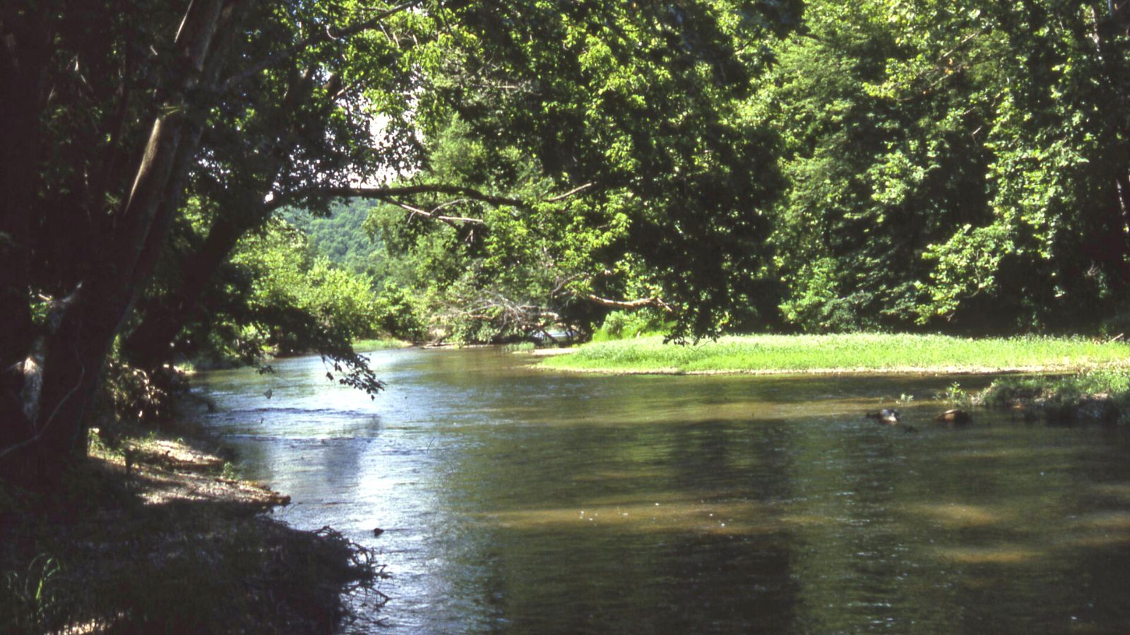 Missouri Gasconade River