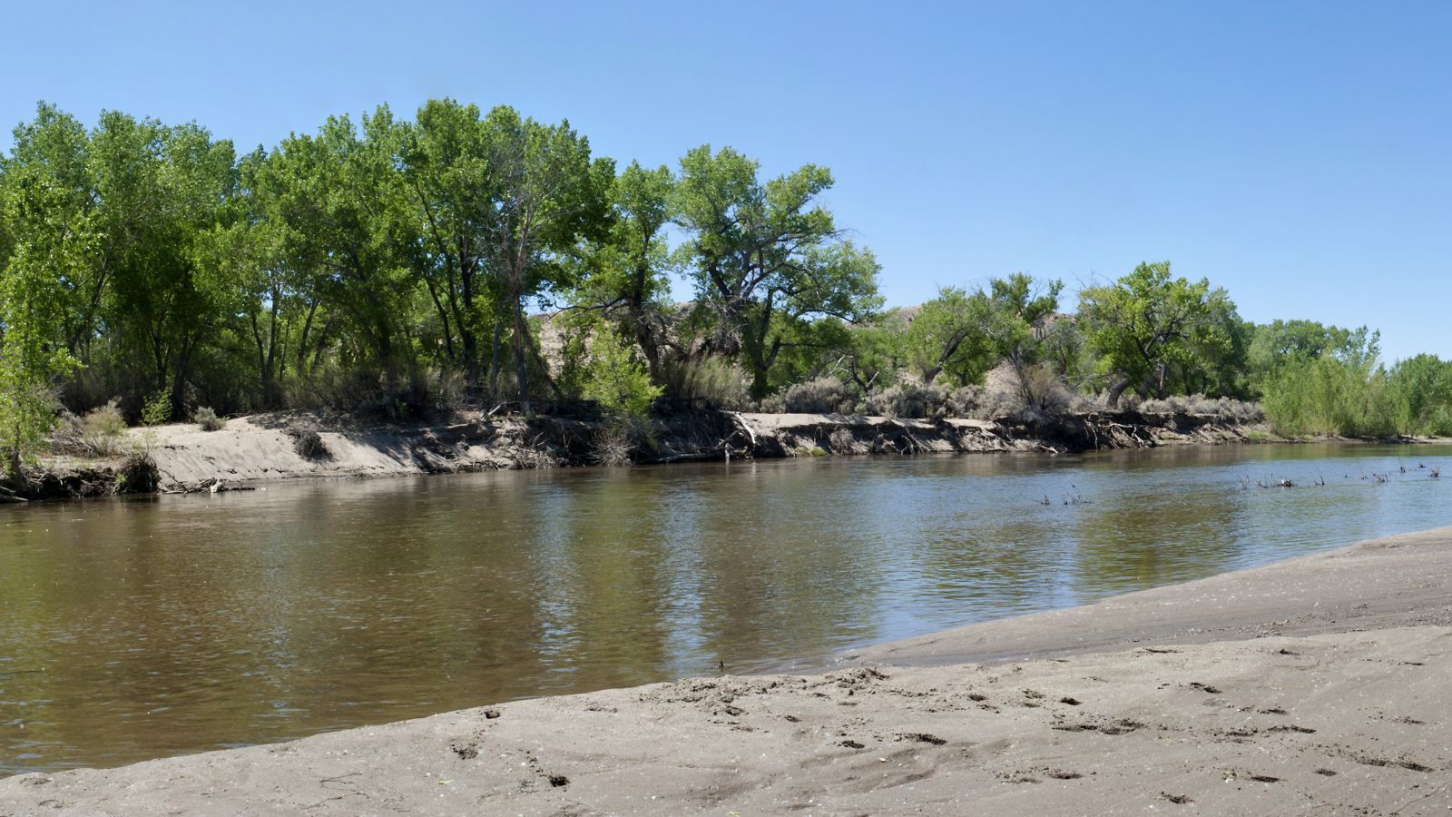 Nevada Carson River