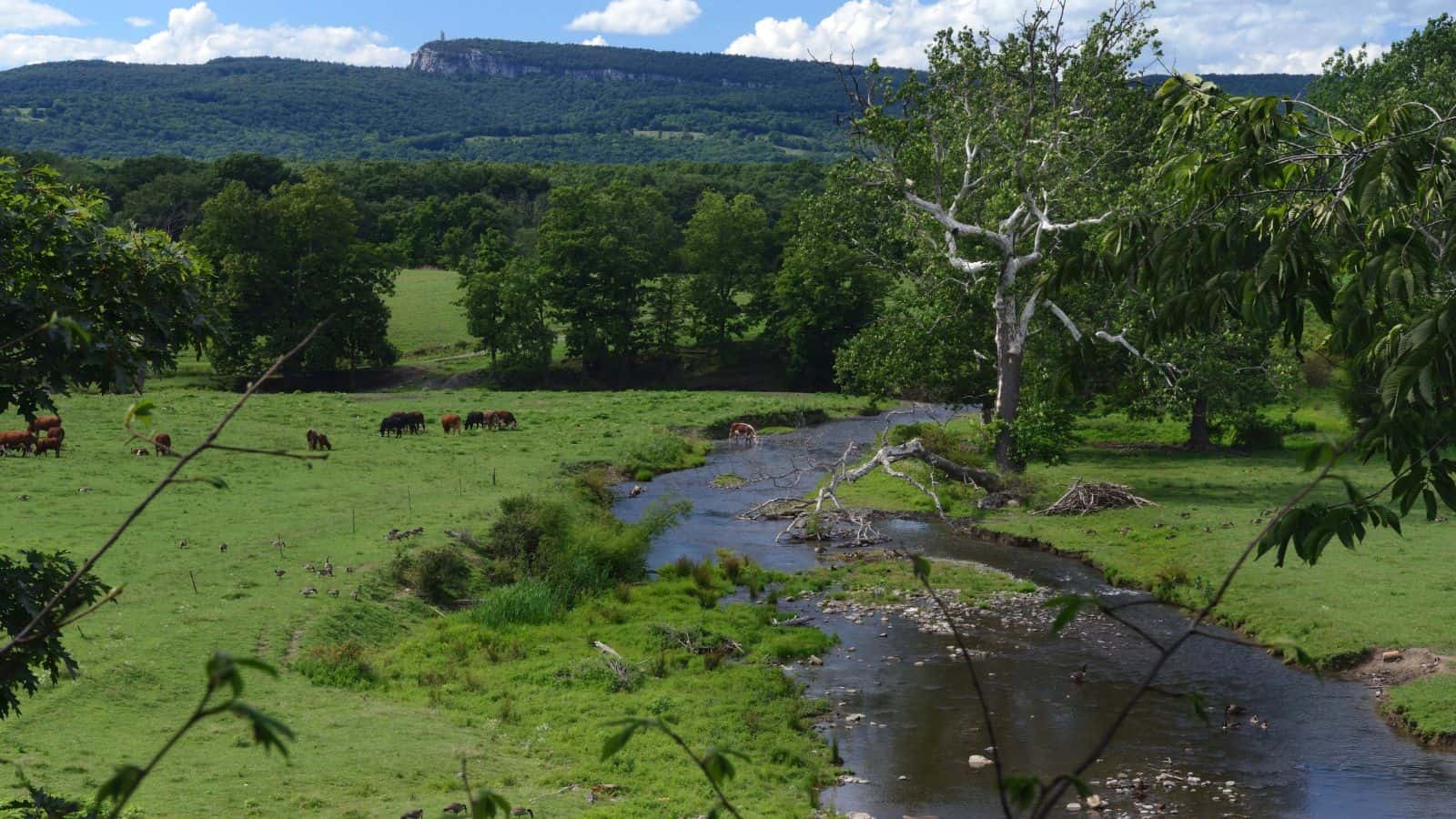 New Jersey Wallkill River