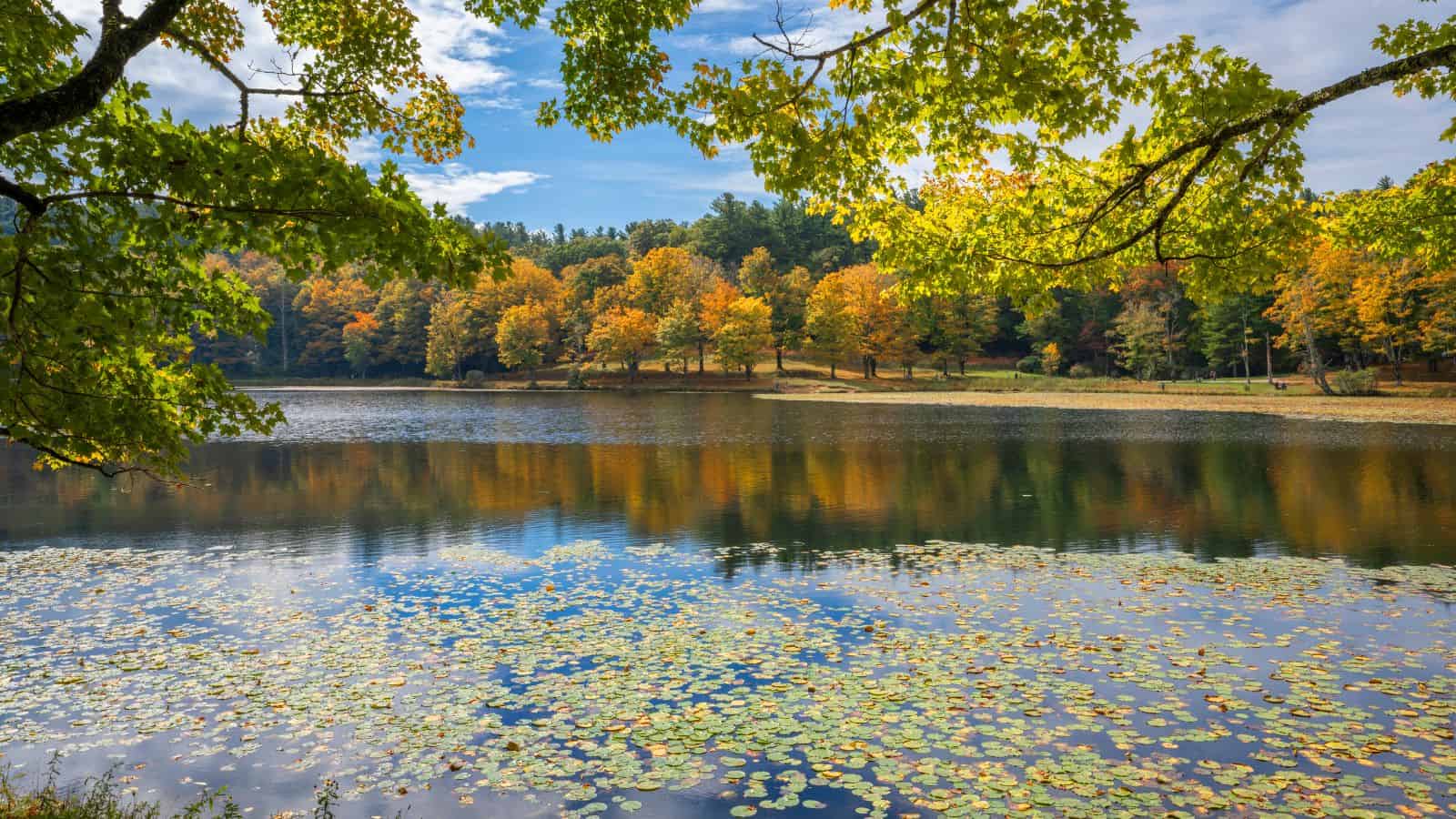 North Carolina Lakes And Rivers Map Old North State Waters North Carolina Lakes And Rivers Map 