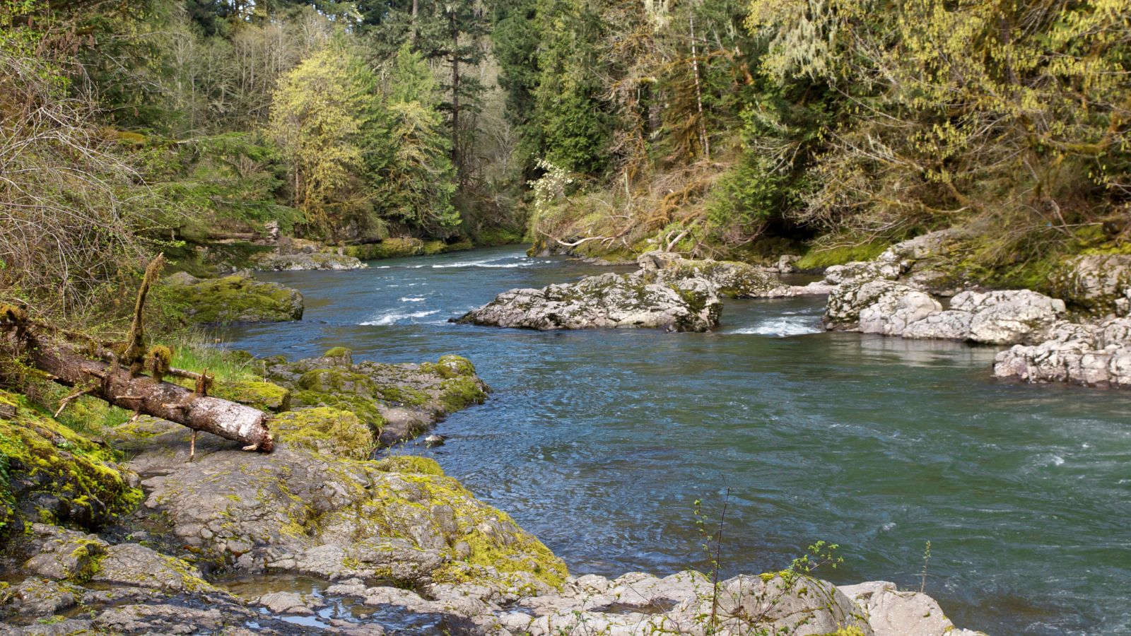Oregon South Santiam River