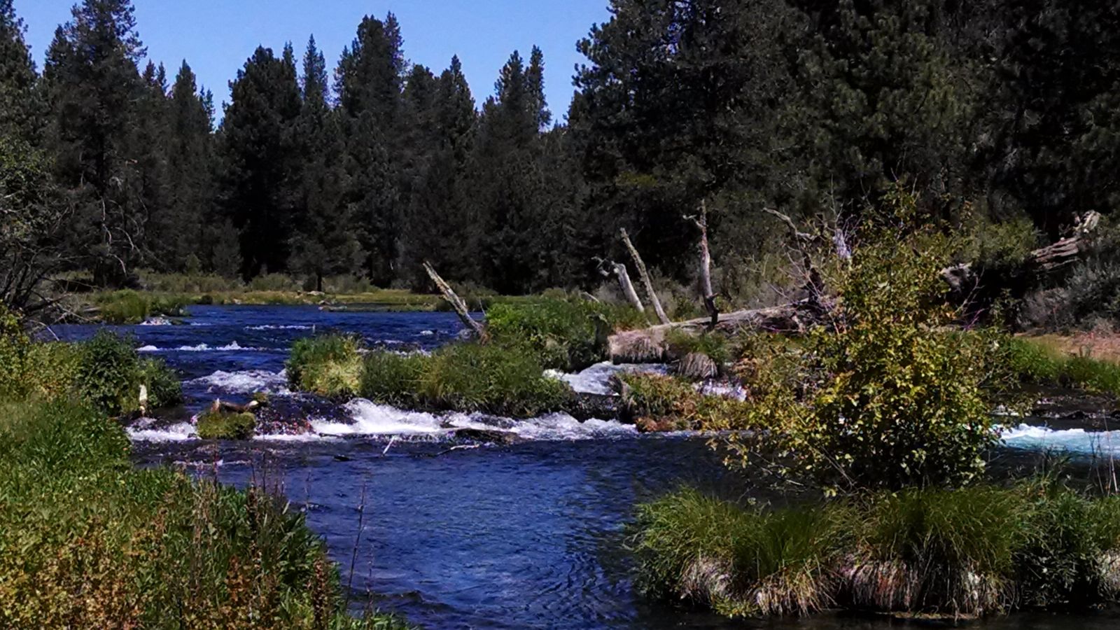 Oregon Williamson River 