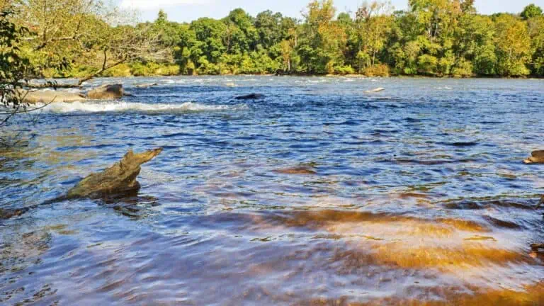 South Carolina Lakes and Rivers Map: Winding Waterways