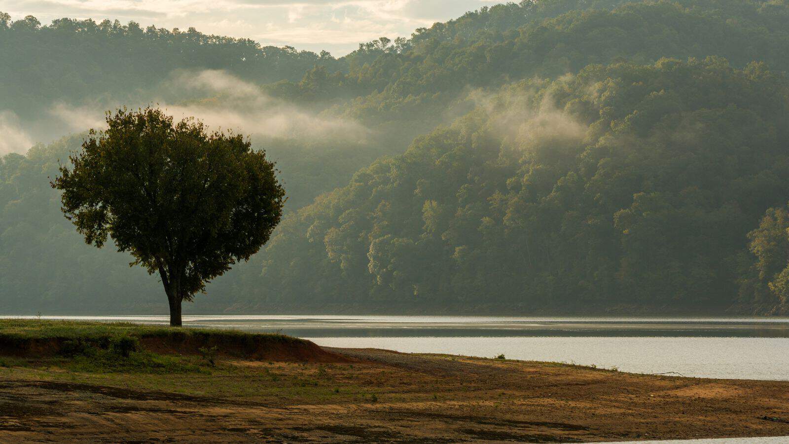 Tennessee Cherokee Lake