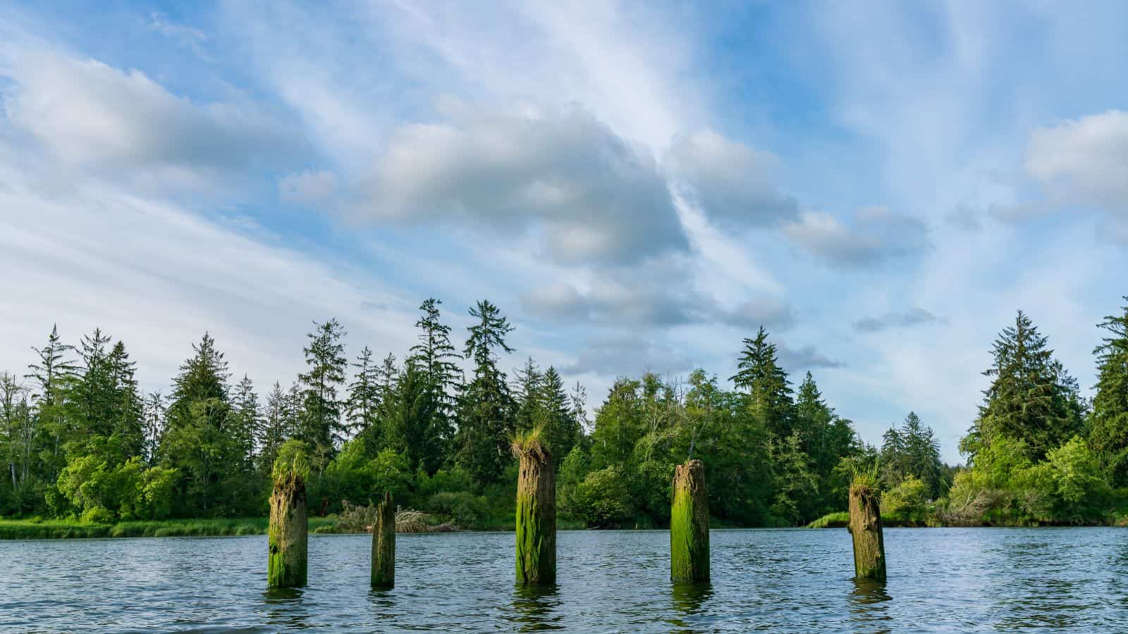 Washington Chehalis River