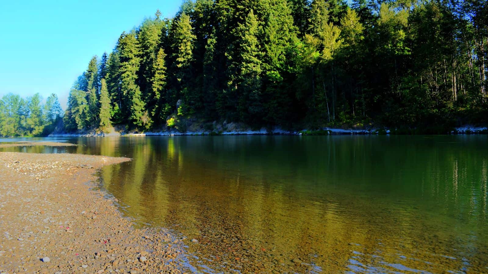Washington Cowlitz River