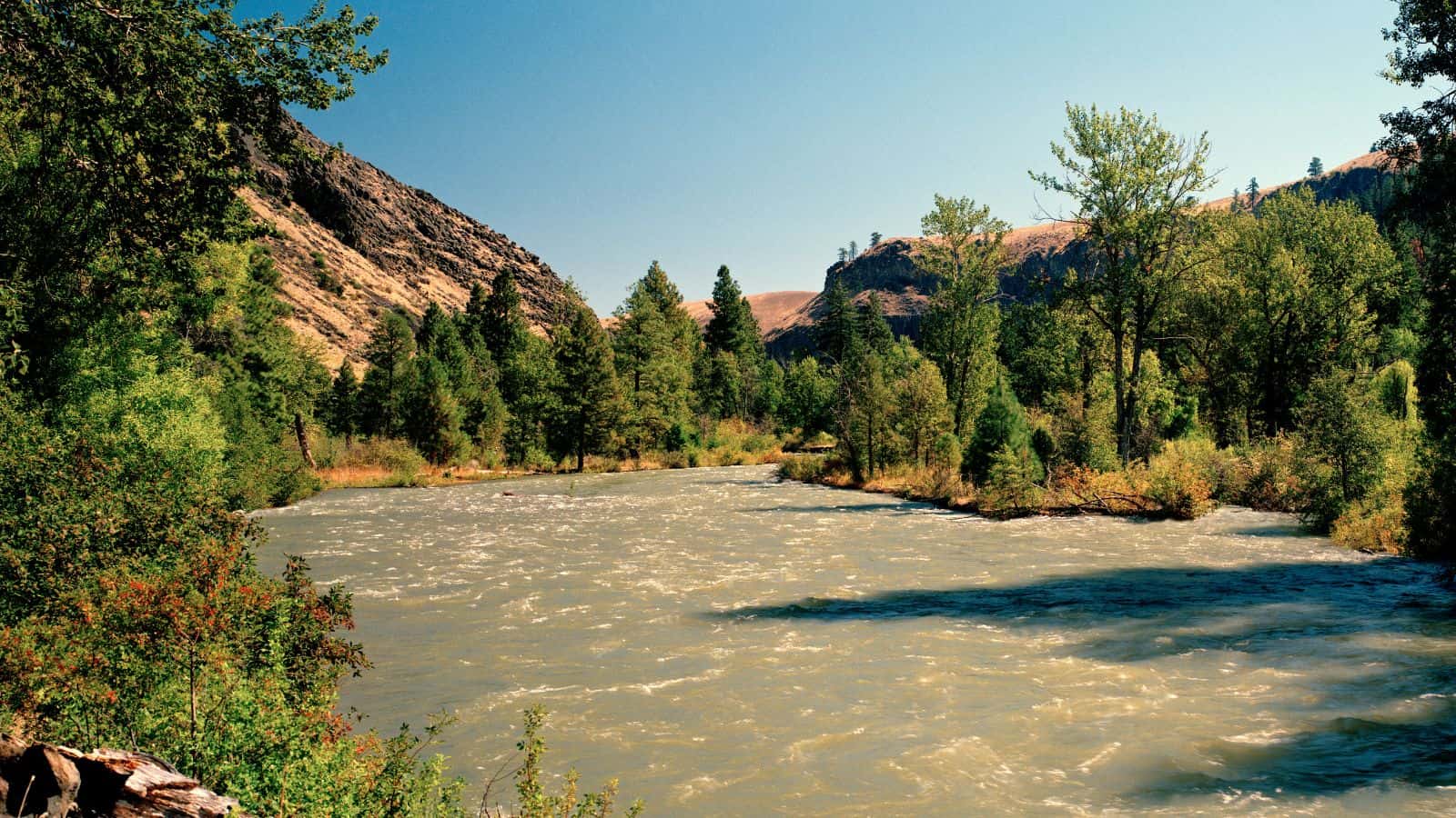 Washington Naches River