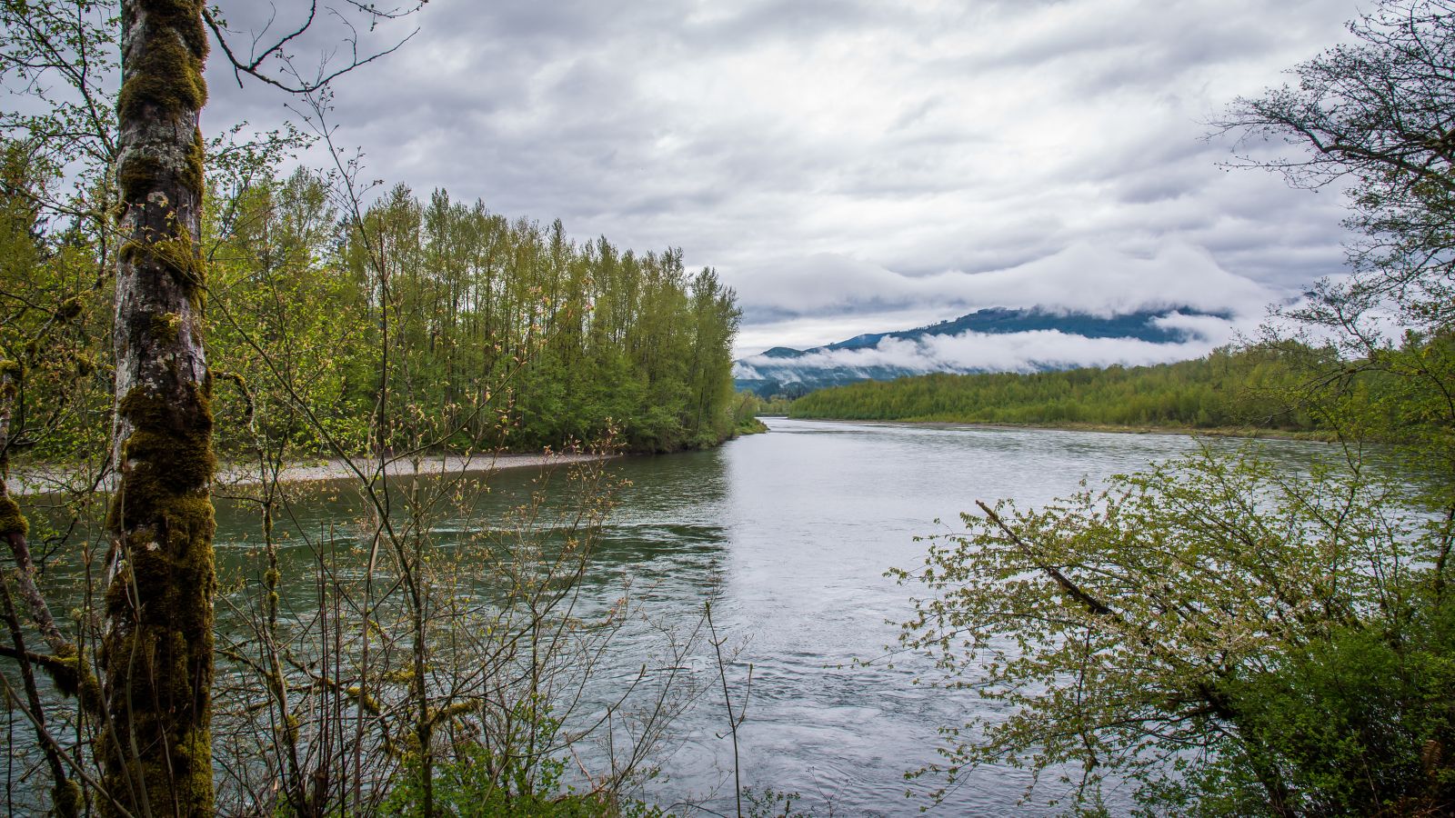 Washington Skagit River