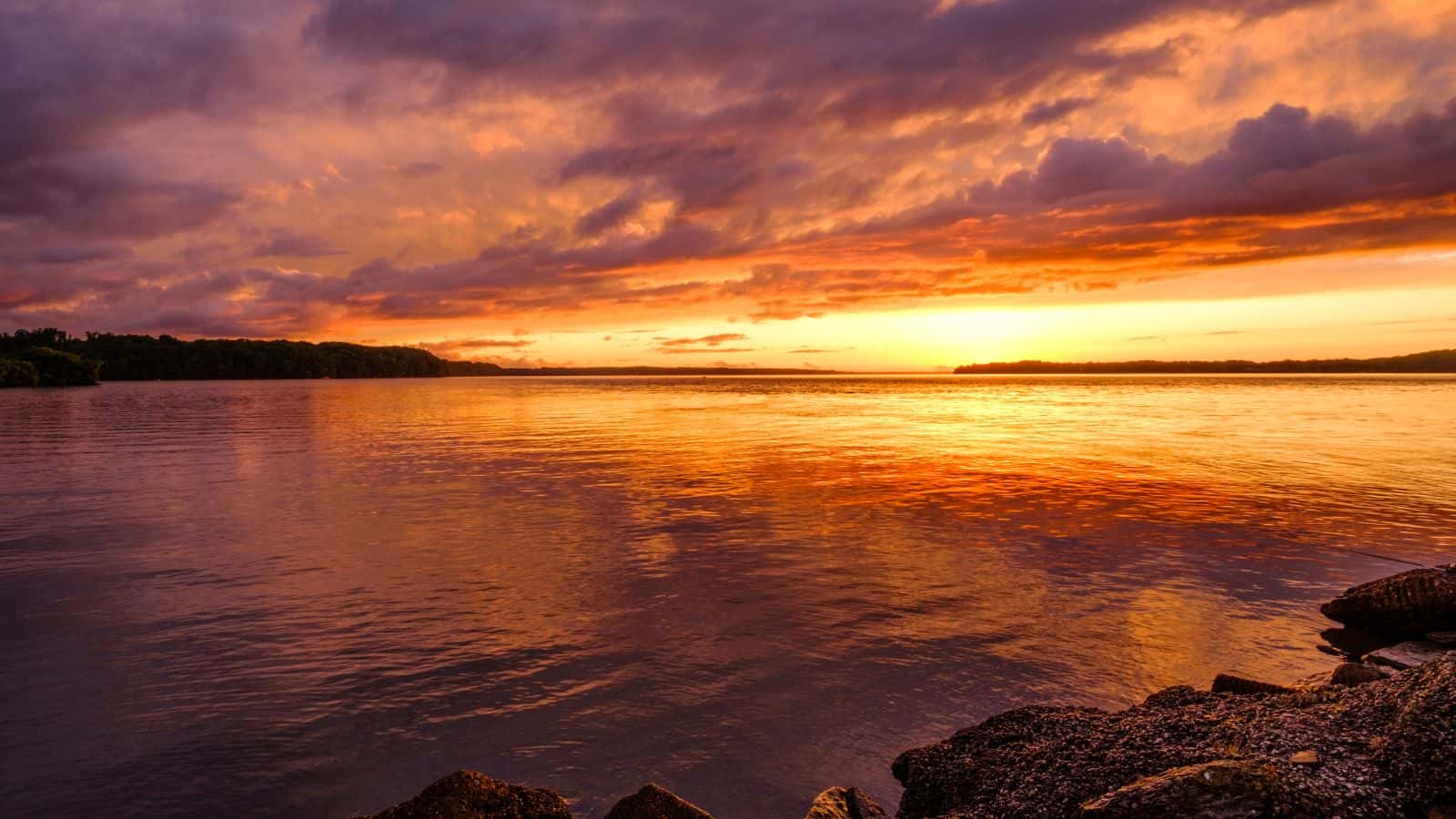 Wheeler Lake