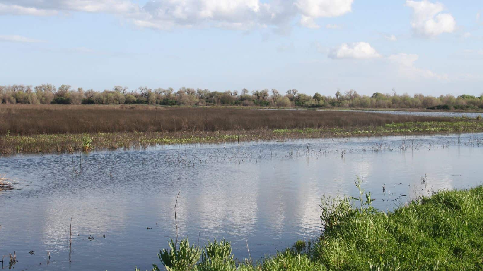 California Lakes and Rivers Map: Astounding Geography 8 california San Joaquin River