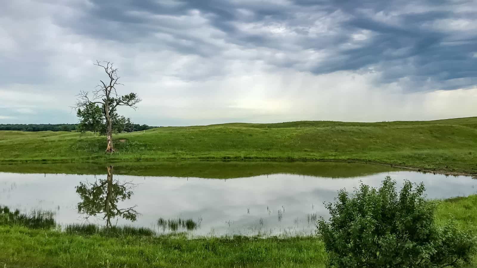 minnesota Rainy Lake