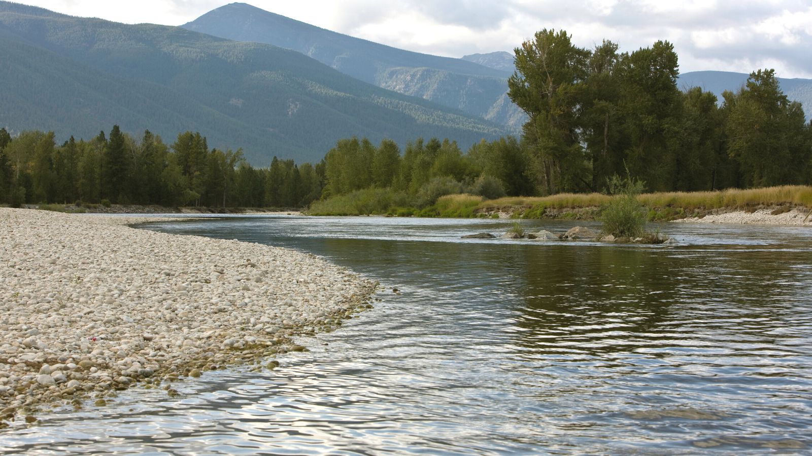 montana Bitterroot River