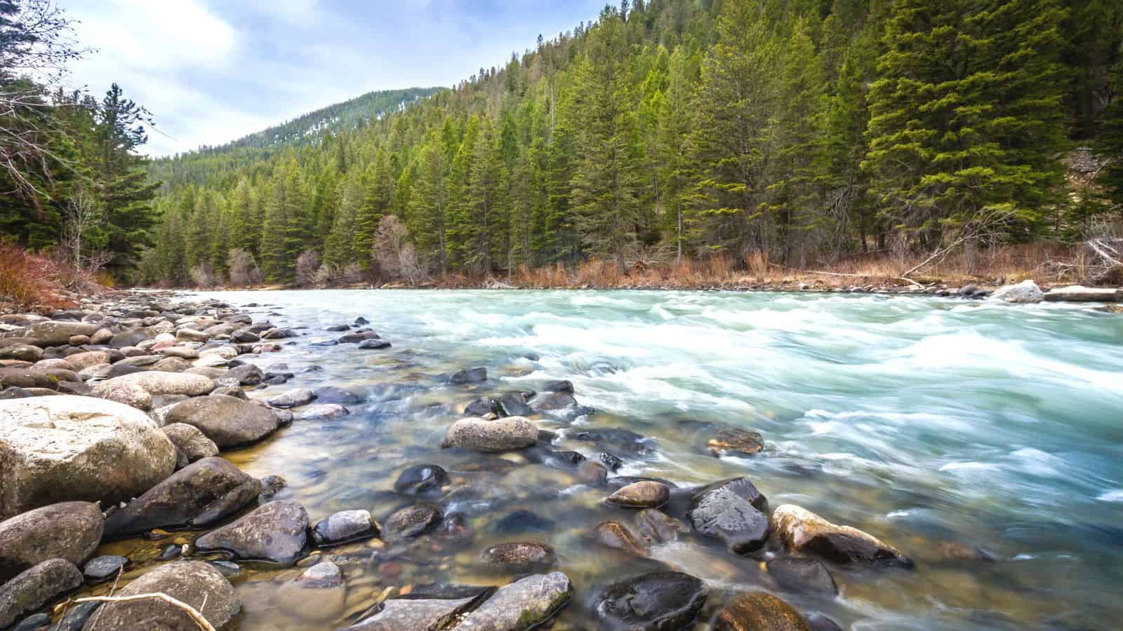 montana Gallatin River