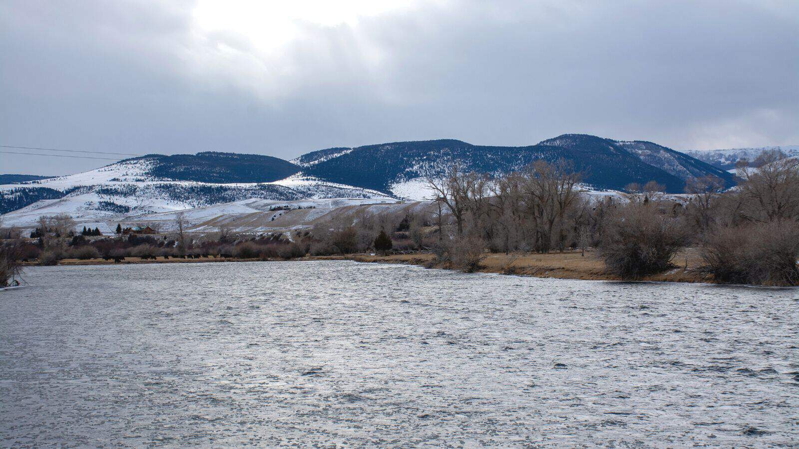 montana Madison River