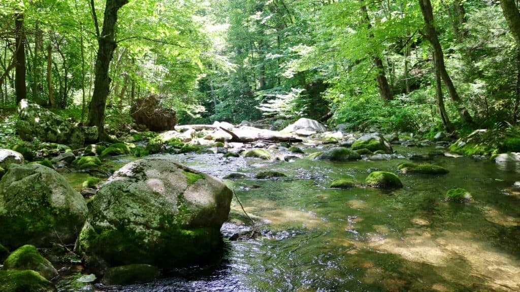 Virginia Lakes and Rivers Map: Old Dominion's Waterways