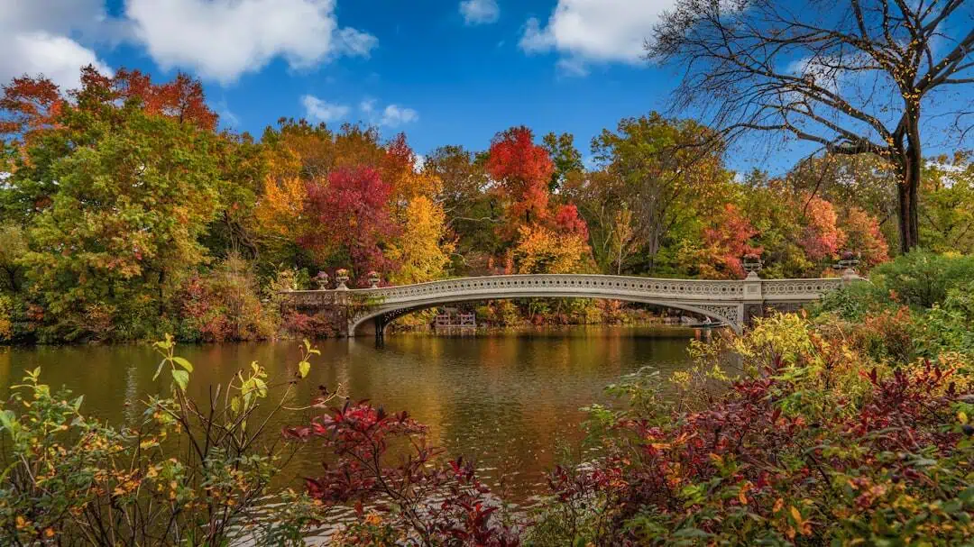 Lower Shavertown Bridge, or Campbell Bridge or Old Roscoe Bridge
