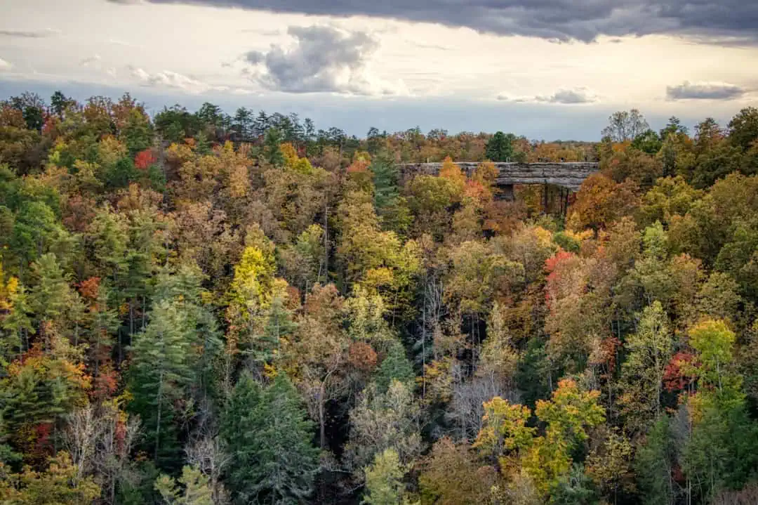 Mount Orne Bridge