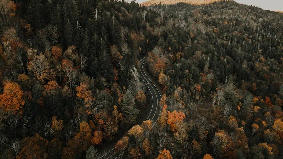 Melendy Pond Bridge