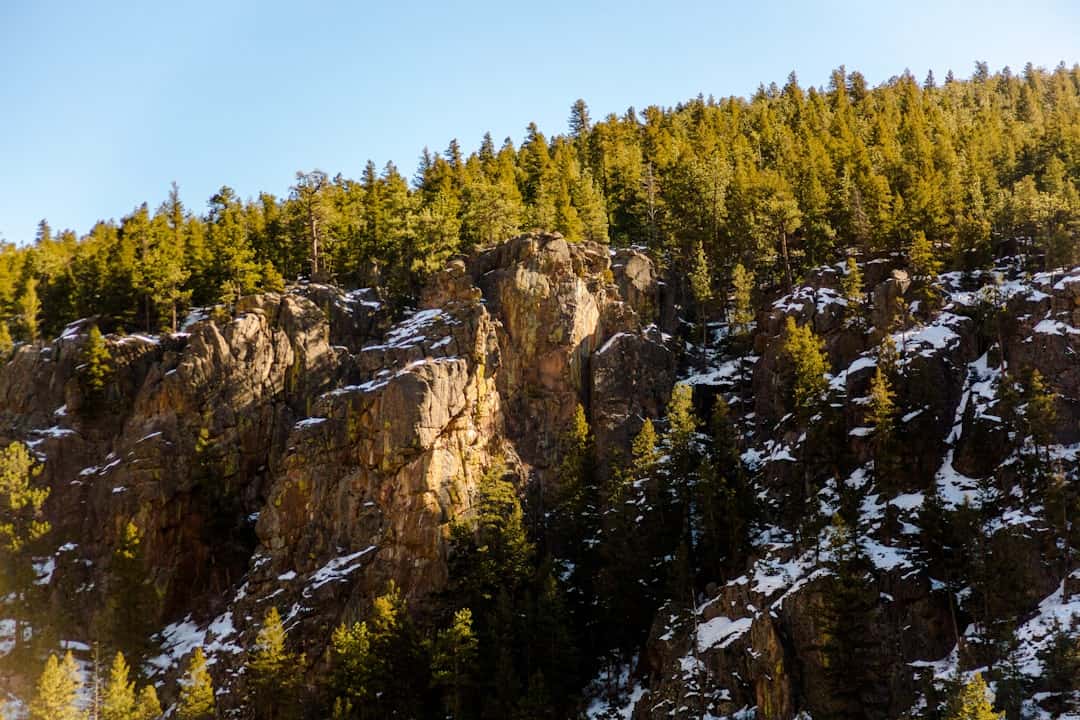 Cache la Poudre-North Park Scenic Byway