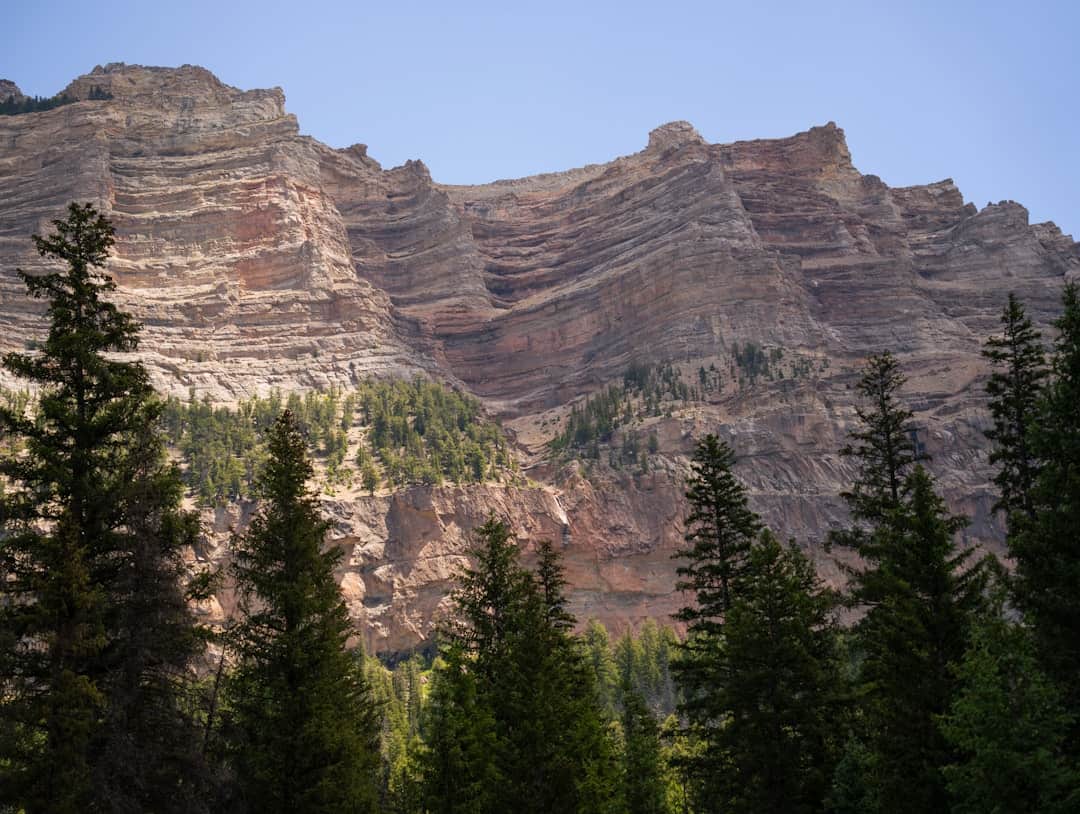 Flathead National Forest