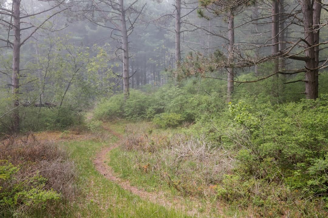 Seminoe State Park