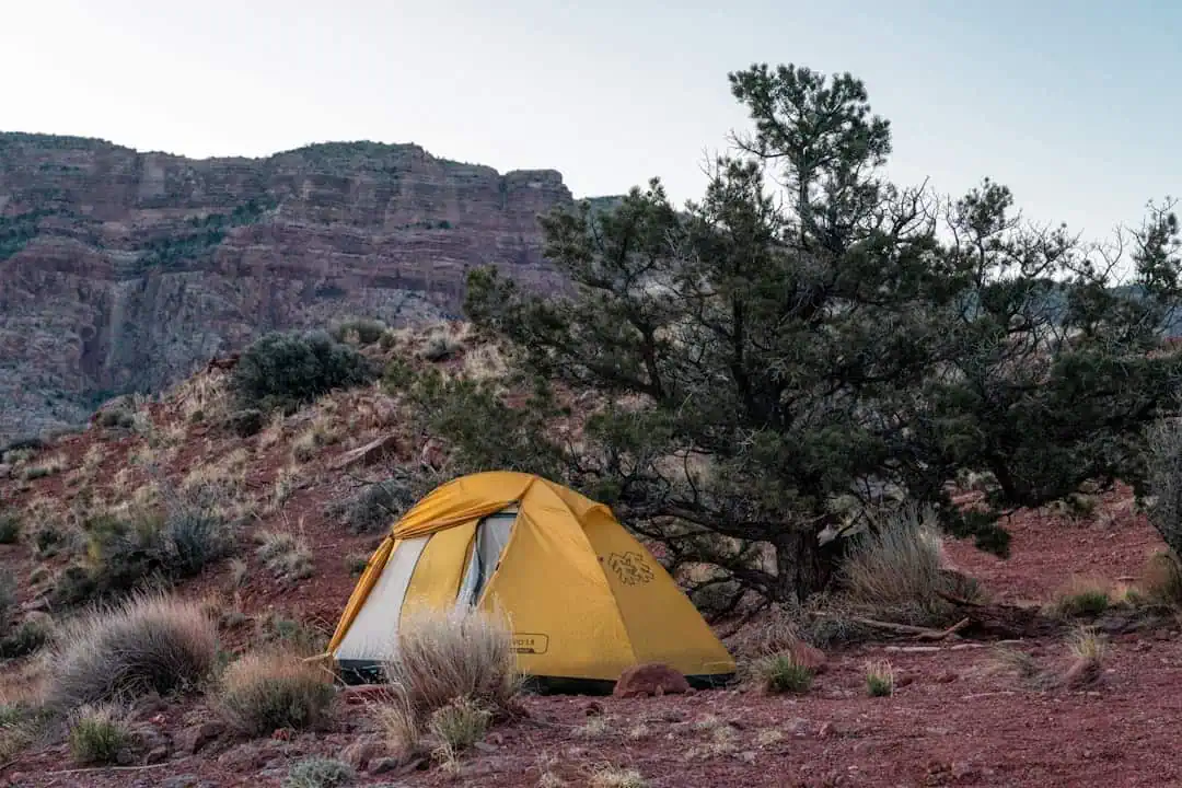 Sheets Gulch