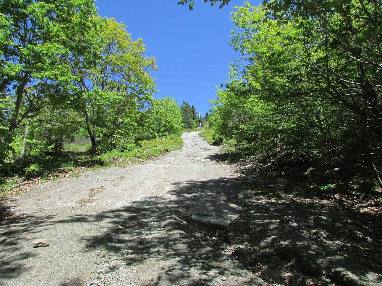Bald Mountain