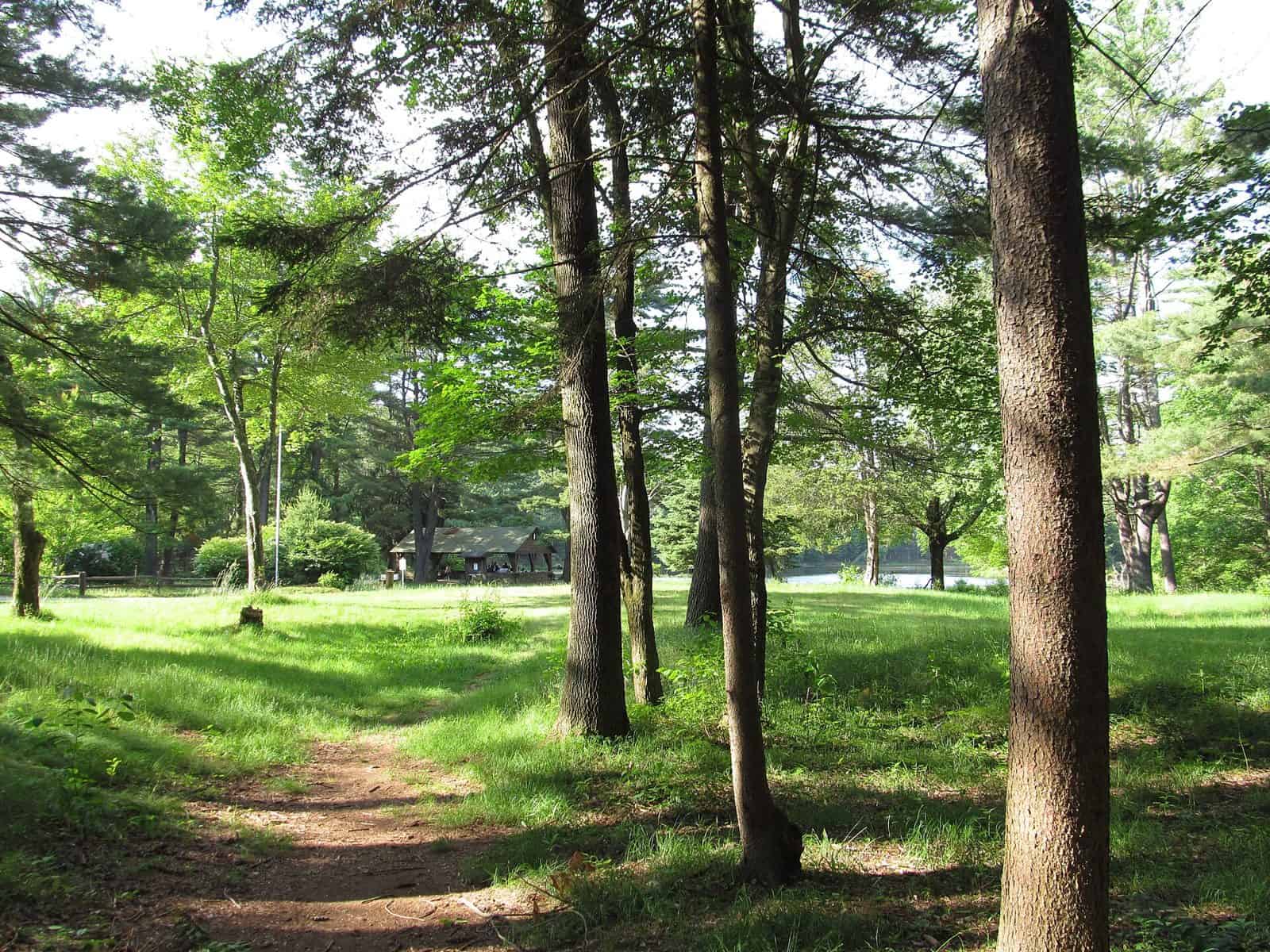 Brimfield State Forest
