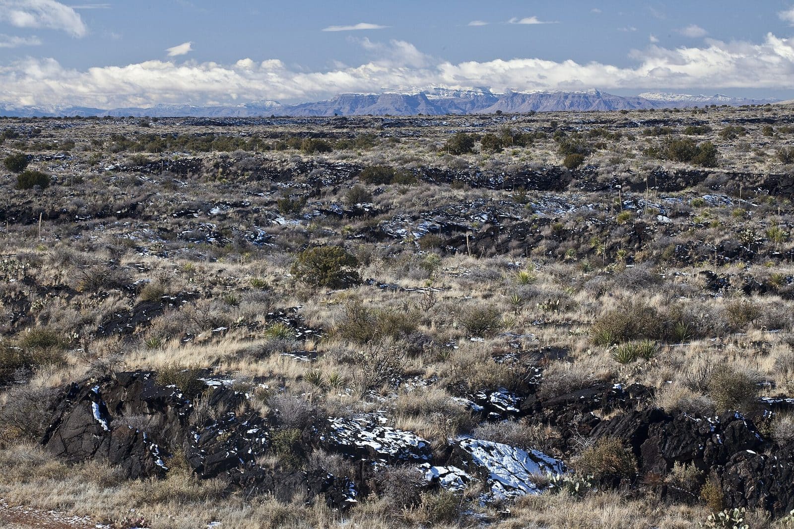 Carrizozo Lava Flow Wilderness Study Area