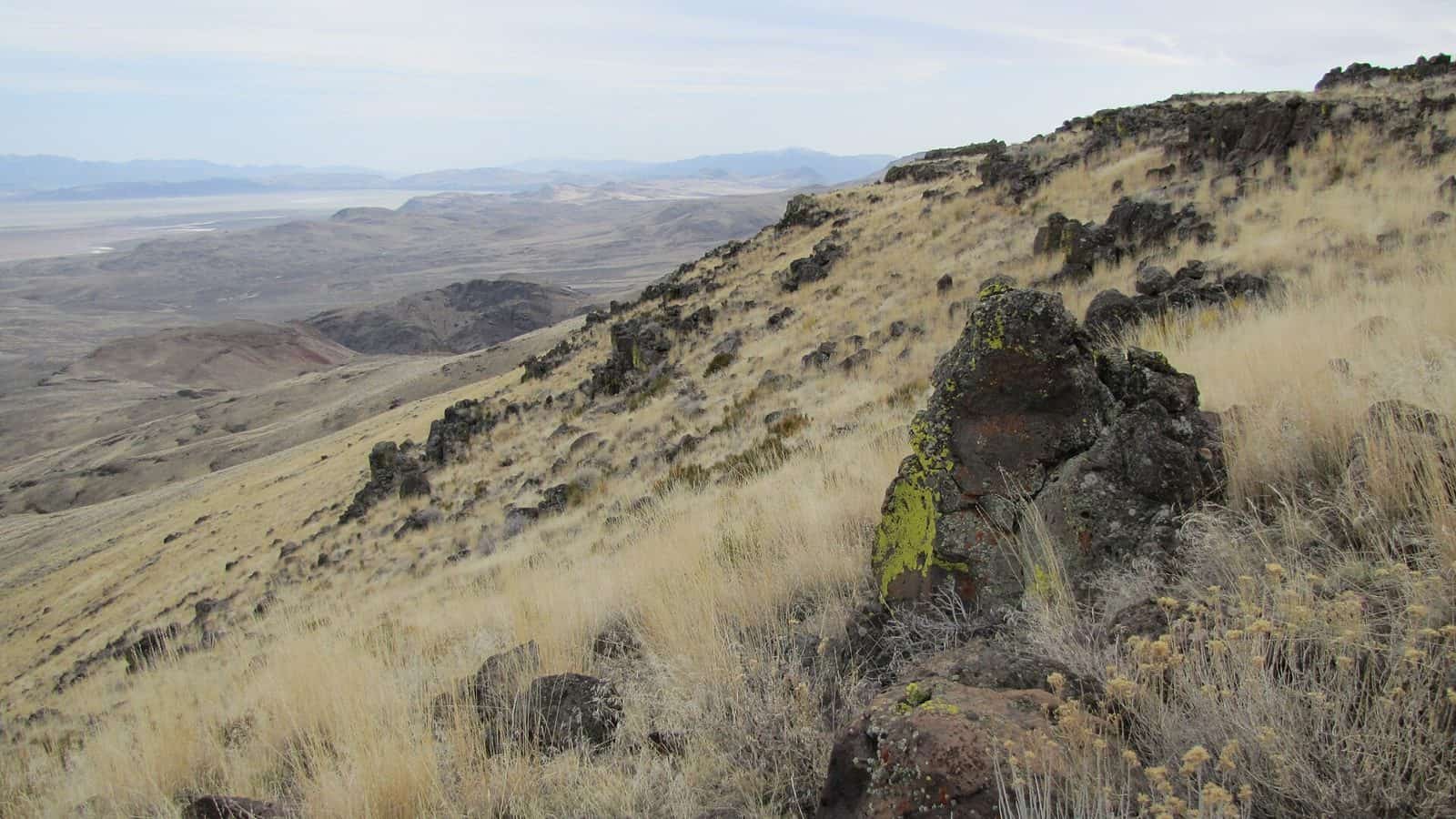 Dry Valley Rim