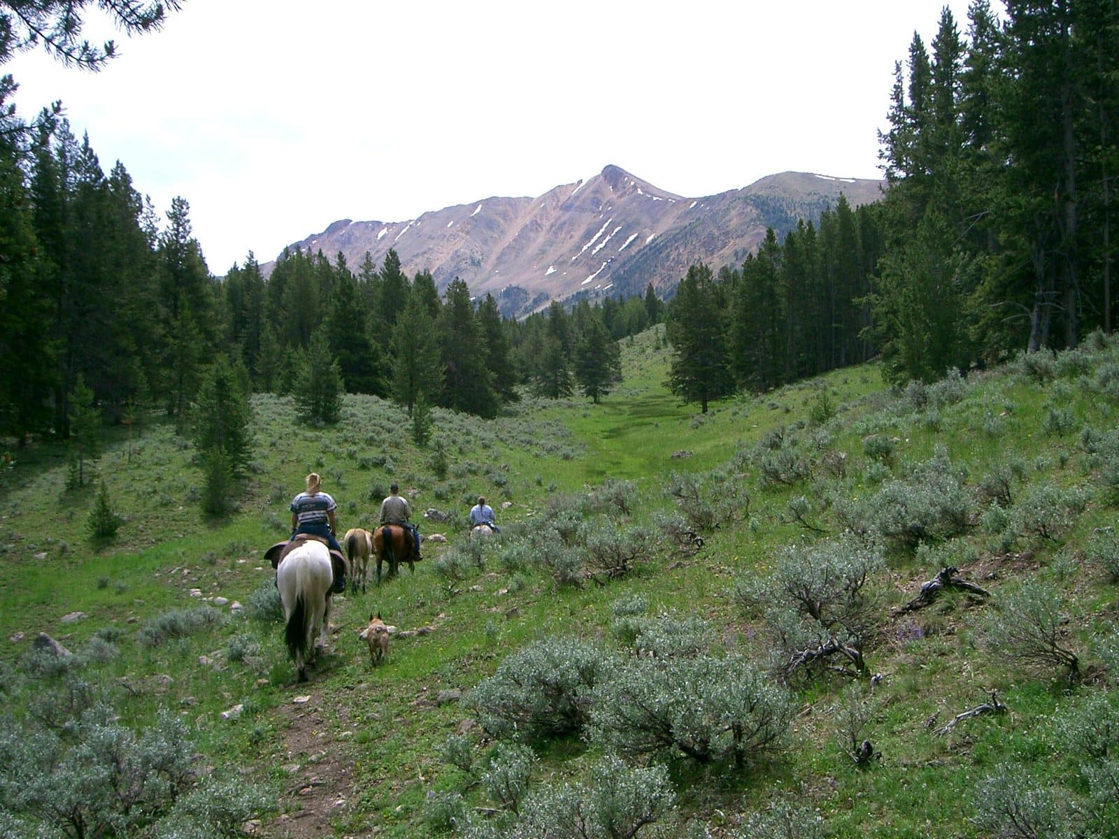 Eighteen Mile Wilderness Study Area
