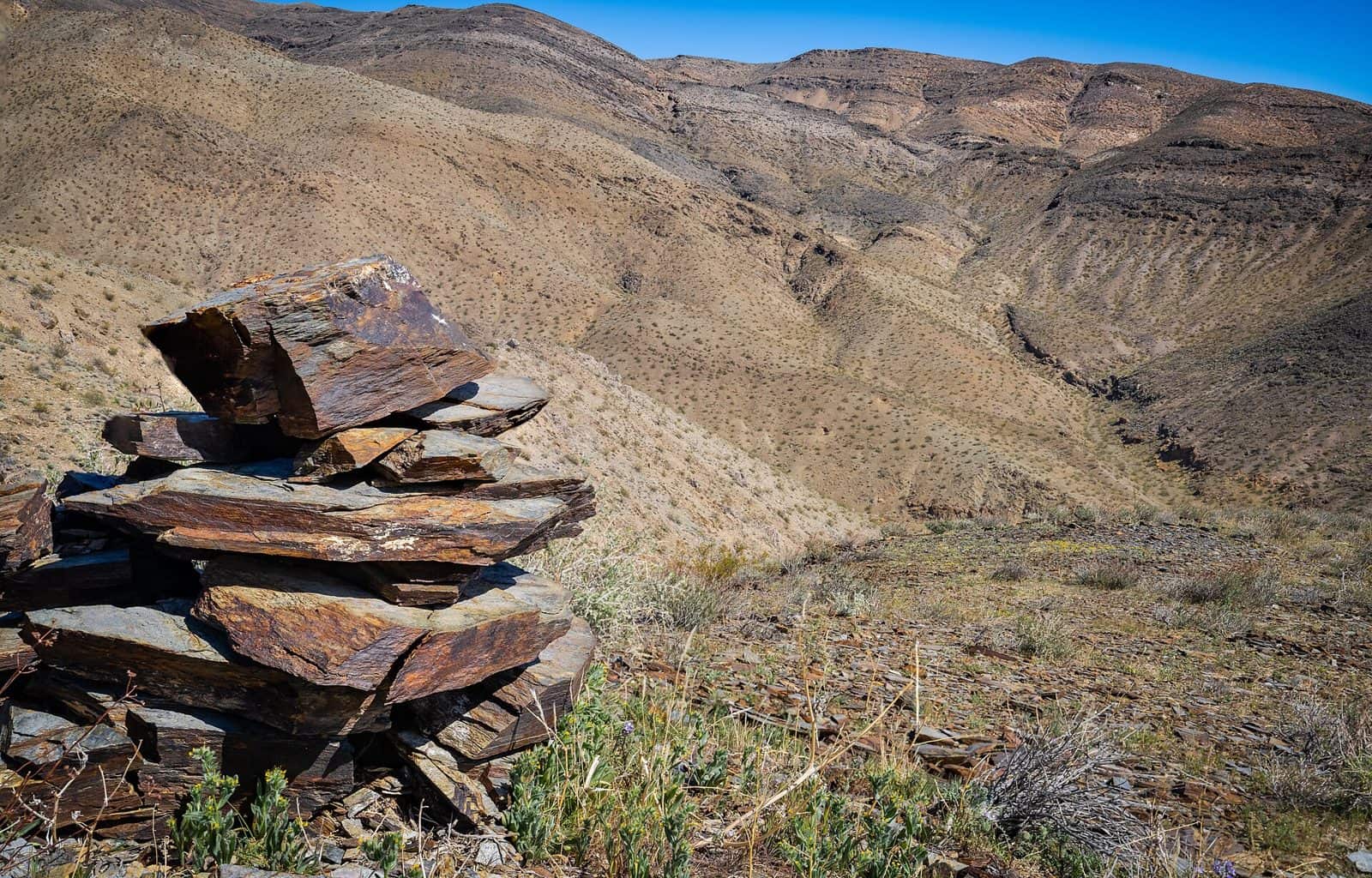 El Paso Mountains Wilderness
