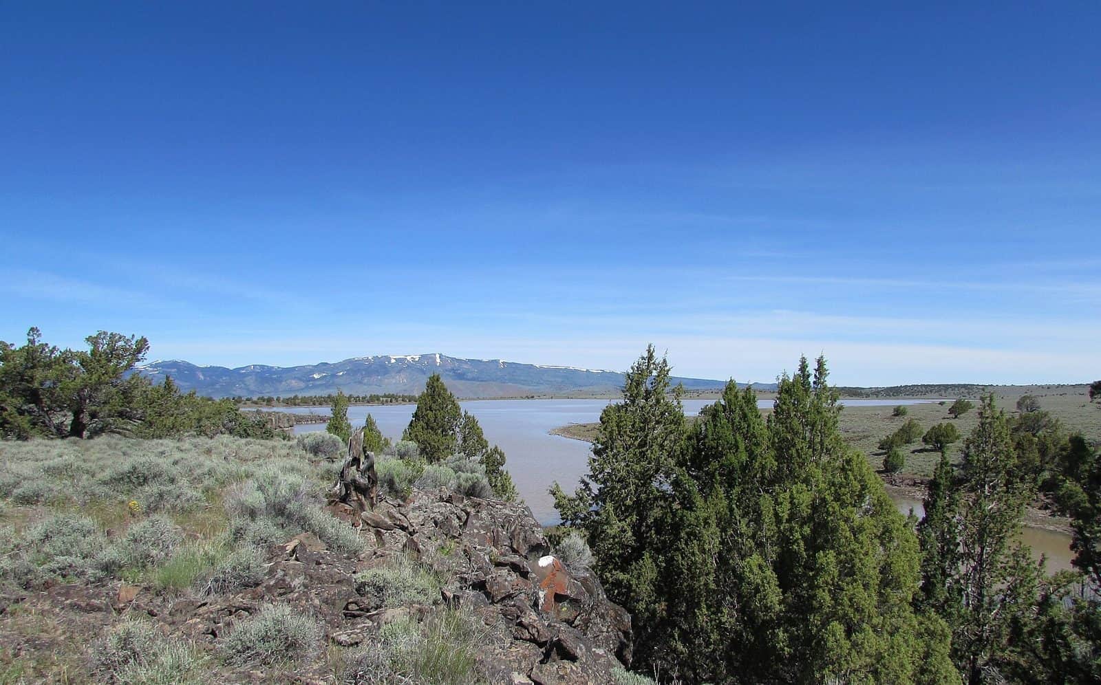 Fee Reservoir