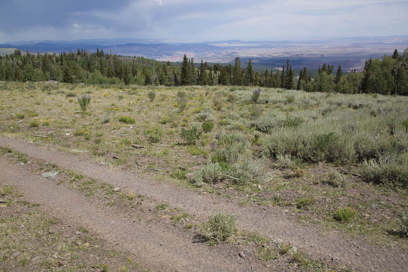 Great Western Trail