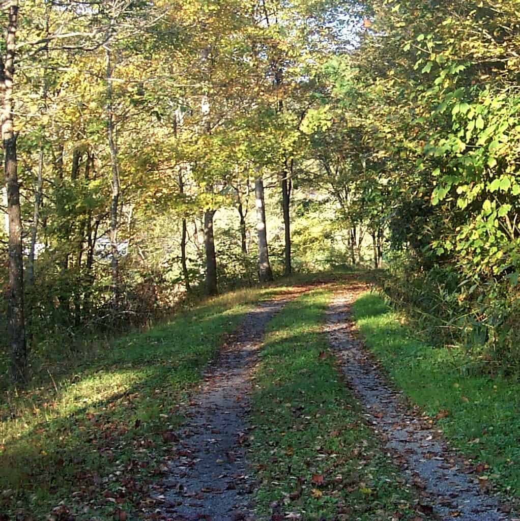 Greenbrier RiverTrail