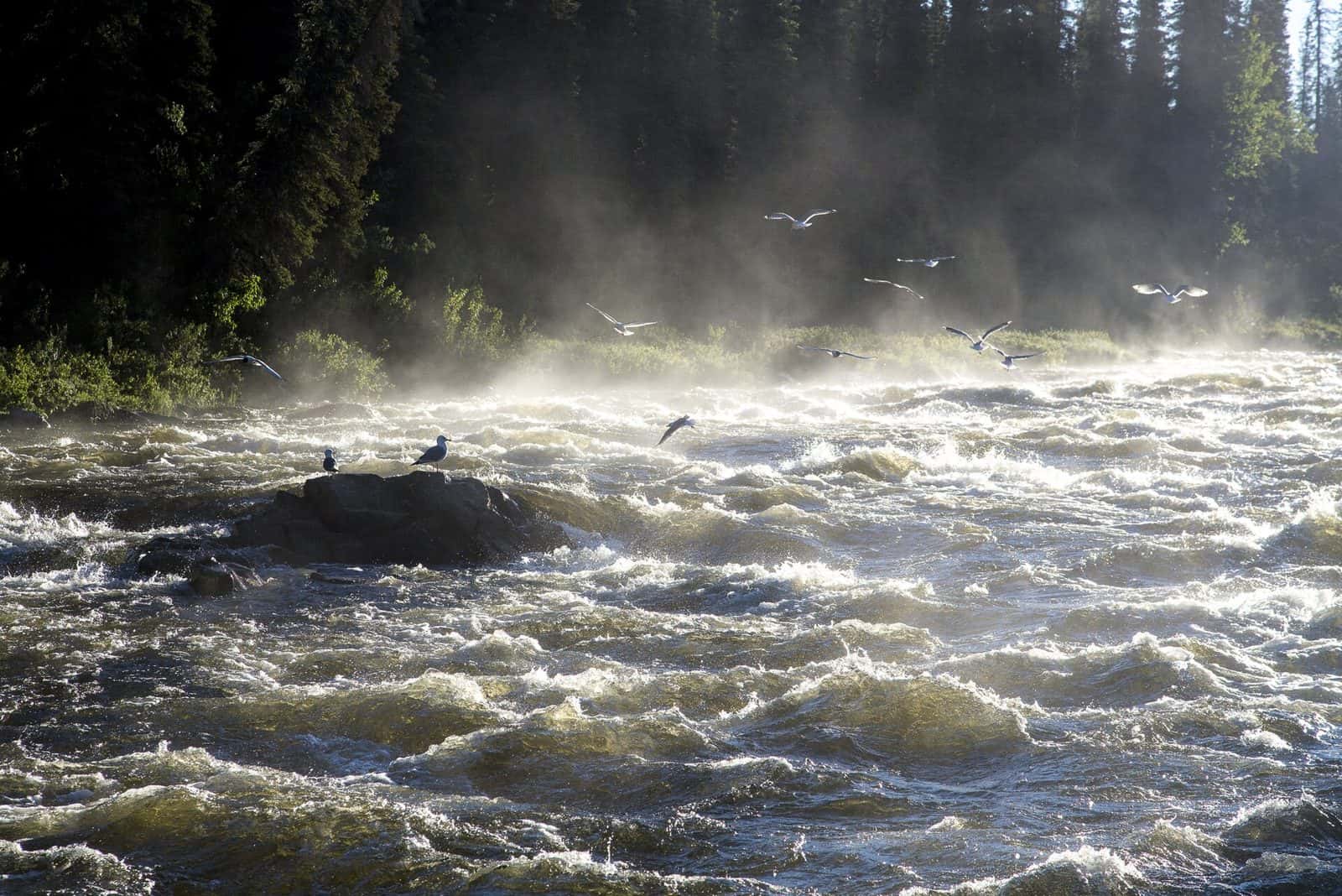 Gulkana Wild and Scenic River