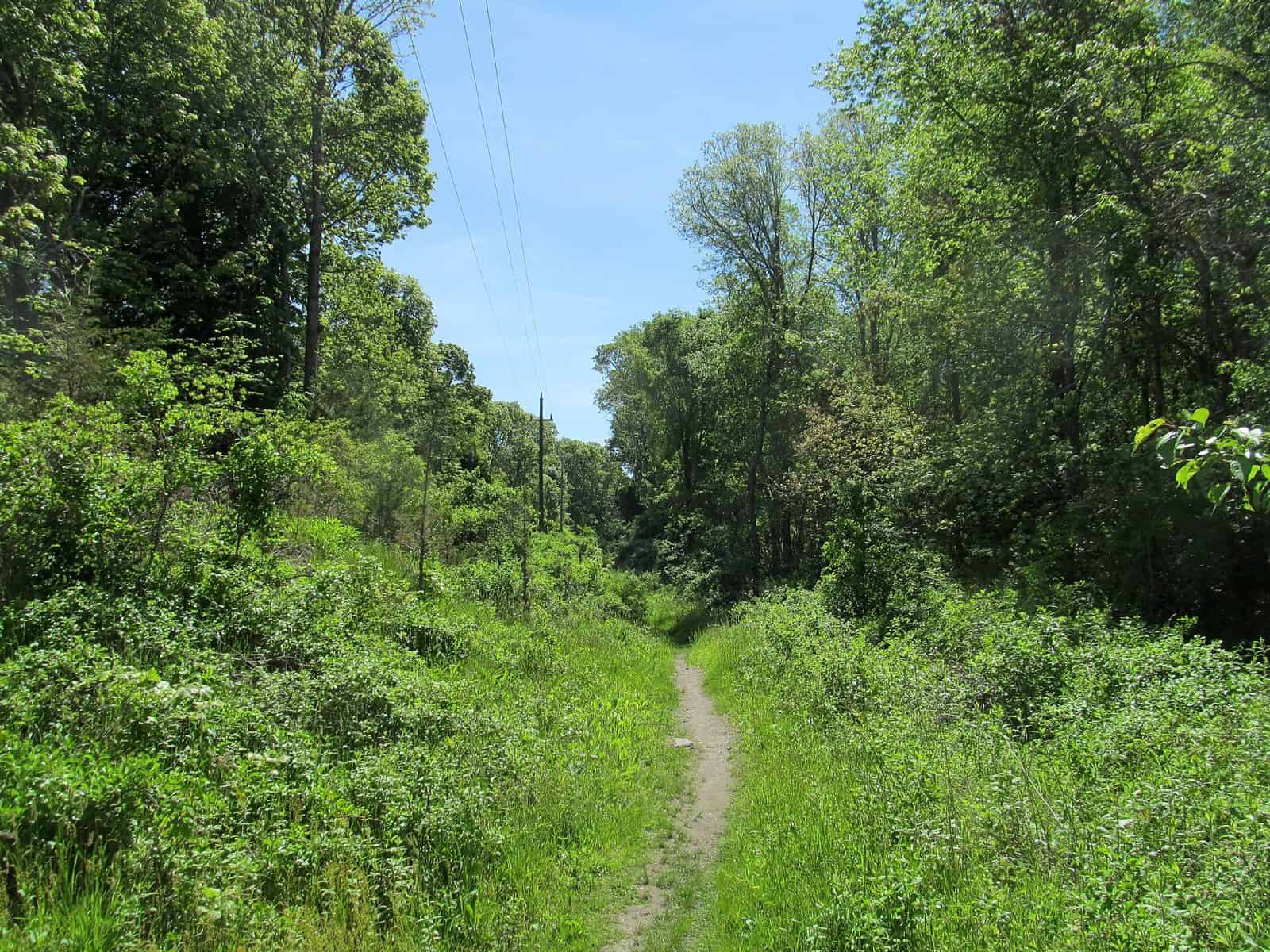 John H. Chafee Nature Preserve