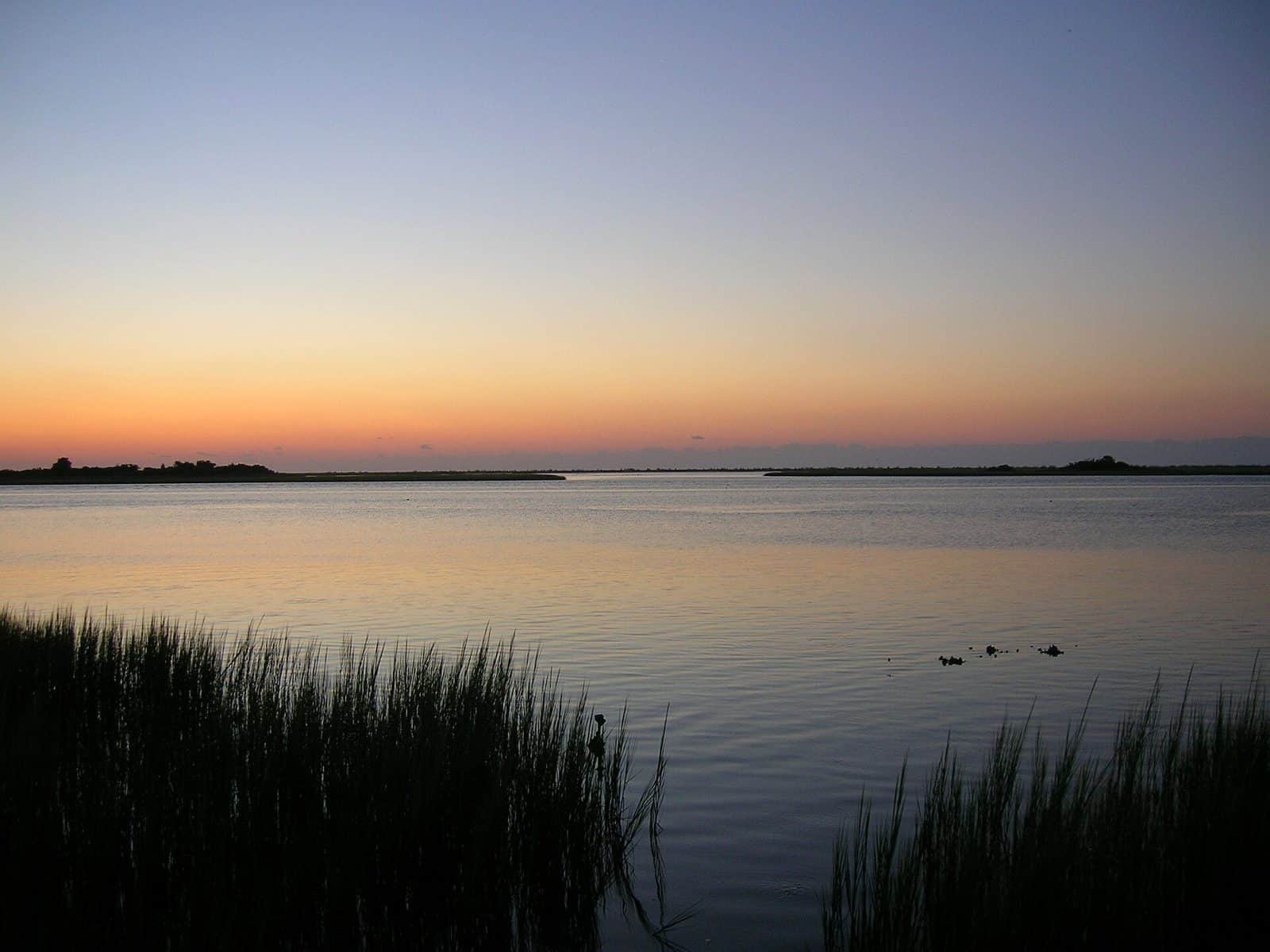 Masonboro Island State Natural Area