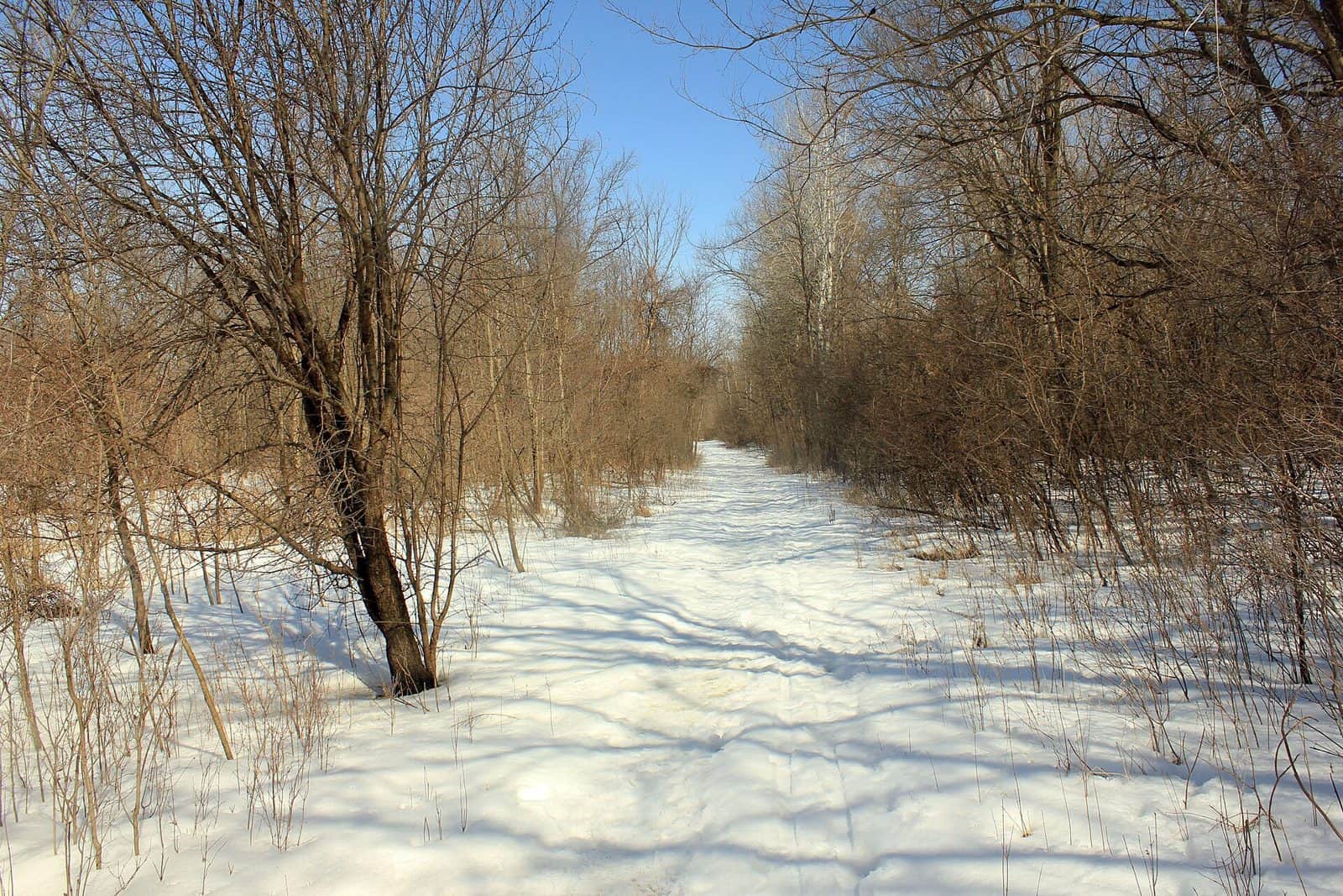 Minnesota Valley State Trail