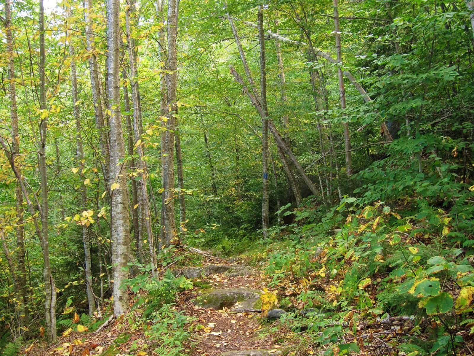Mount Ascutney State Park