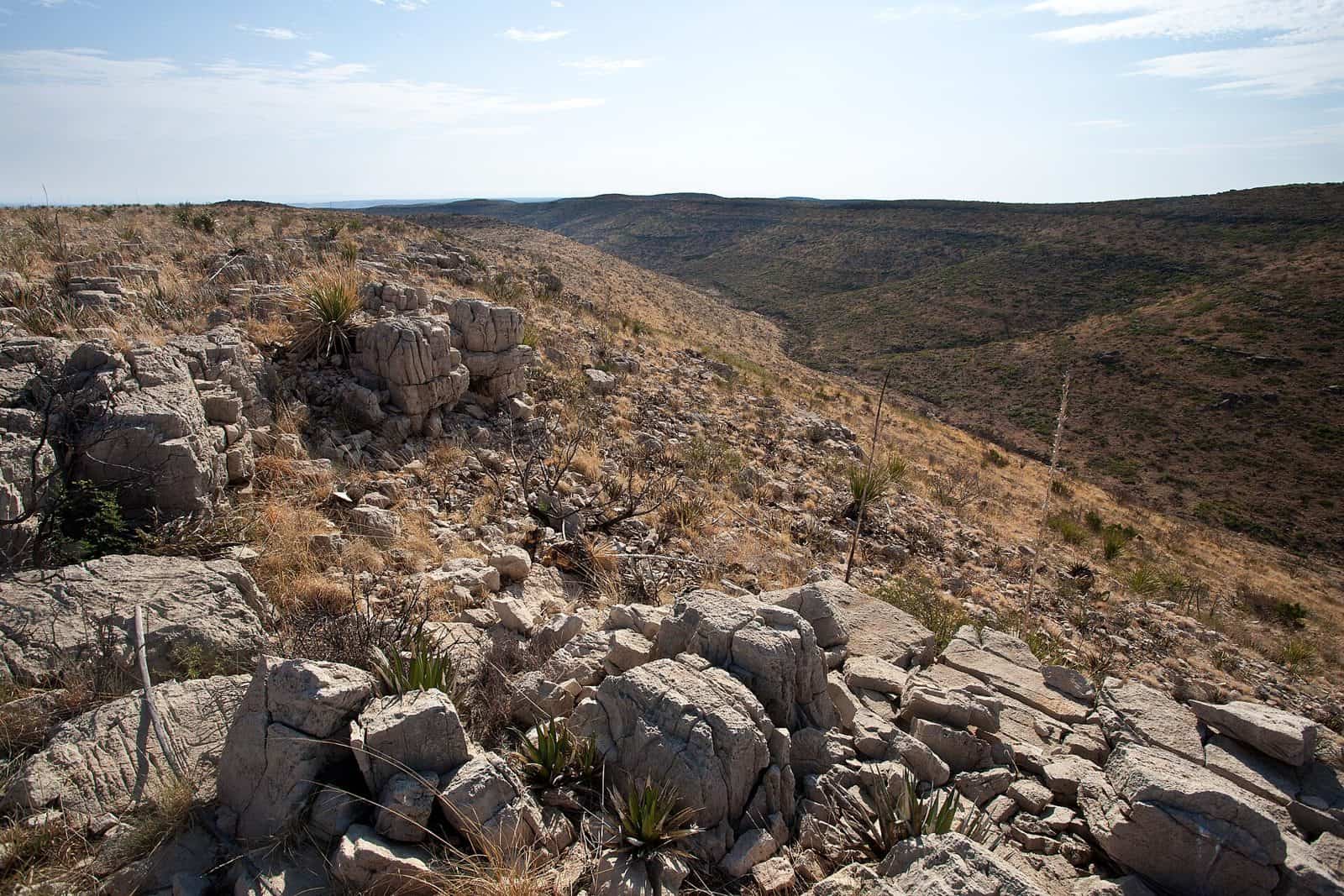 Mudgetts Wilderness Study Area
